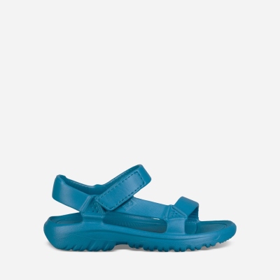 Teva Kids Hurricane Drift Hiking Sandals Sale NZ (OLQYX-3809)